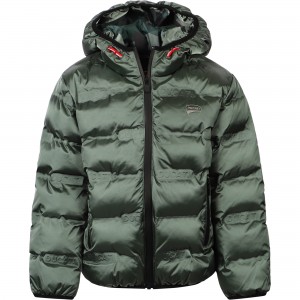 Ducati Padded Winter Jacket in Green