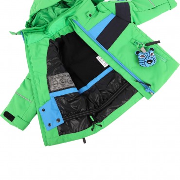 Arctic World Embroidery Logo Ski Jacket in Green