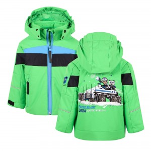 Arctic World Embroidery Logo Ski Jacket in Green