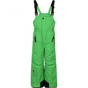 Logo Ski Dungarees in Green